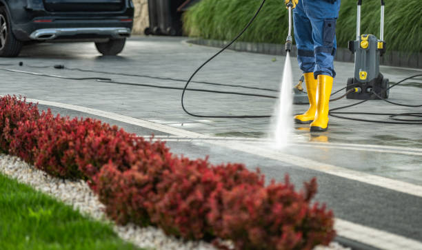 Reliable Fort Polk North, LA Pressure Washing Services Solutions